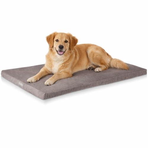ONVAYA® Hundekissen aus Memory Foam | orthopädisch | 95 Grad waschbar | grau | Größe S-XXL | Hundebett | Hundematratze | Hundematte | Liegekissen (XXL (112 x 74 x 5 cm))