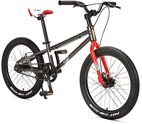 ZXQZ Mountainbike, 18 '' / 20 '' für Männer und Frauen, Fahrrad mit Rahmen Aus Hohem Kohlenstoffstahl und Scheibenbremsen (Color : Grey, Size : 20'')