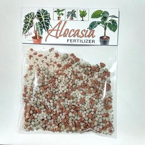 Alocasia NPK fertiliser Pfeilblatt Fertilizer - dry - enough for 20 liters after dissolving - Elefantenohr-Pfeilblatt (Alocasia), Alokasie