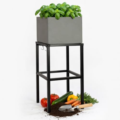 Pflanzwerk Pflanzkübel Hochbeet Gestell Elevate 60x28cm für Garten Terrasse und Balkon Blumenkübel - Pulverbeschichteter Edelstahl - Rostfrei - Premiumqualität - Frostsicher - 2 Jahre Garantie