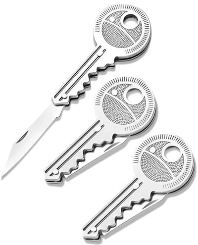 TOZBLEU Mini Coltello Portachiavi Pieghevole in Acciaio Inossidabile, Taglierino Compatto per Campeggio Outdoor e Sopravvivenza, Utensile Nascosto Multiuso da 2 Pezzi Regalo Unisex