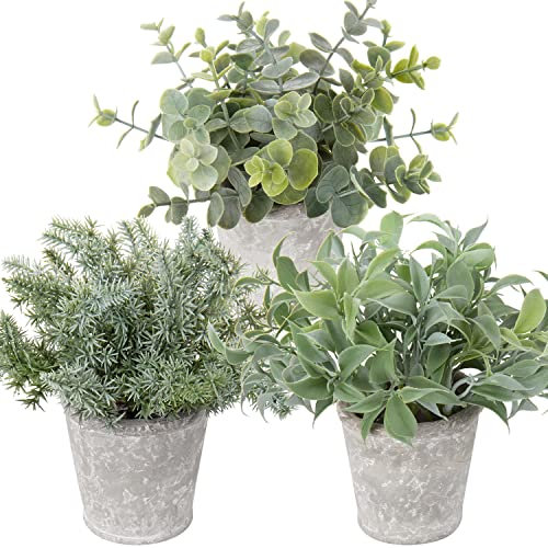 Artificial Potted Plants Set of 3 Faux Plants in Pots Eucalyptus Rosemary Fern Small Fake Plant Decor for Home Table Office Desk Bathroom Shelf Living Room Farmhouse Decoration