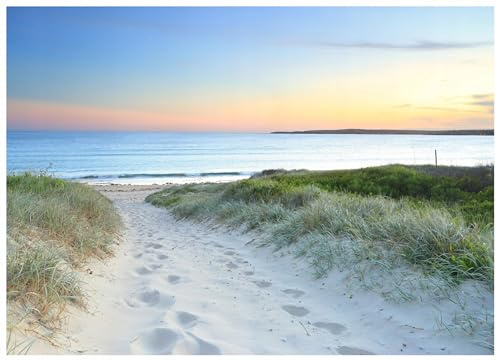 WallArena Non-Woven Fototapet Skogslandskap – 300x210 cm – Fototapet 3D Effekt För Vardagsrum Och Sovrum – Modern Väggtapet I Vlies, Inkl. Lim – Natur, grönt, solstrålar