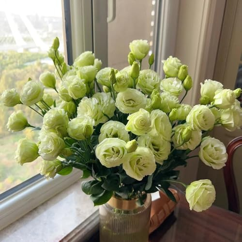Semi di Lisianthus, semi di per luoghi soleggiati perenni semi di selvatici serre da balcone 180pcs
