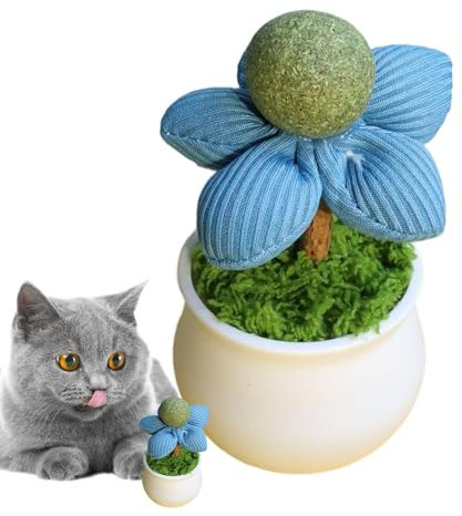 Catnip Lick -Kugeln für Katzen, Katzenministerspielzeug für Katzen | Blumentopf inspirierte Katze Anreicherung Spielzeug - Innenkätzchen -Unterhaltung Haustierversorgungen zum Spielen der Zähneputzung