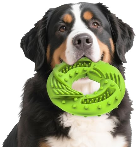 Feycig Hundespielzeug Unzerstörbar Ring, Kauspielzeug Hund, Grün, 13.9CM | Hundespielzeug Naturkautschuk, Kauspielzeug Hund, Kauspielzeug Welpe, Unzerstörbar, Große und Kleine Hunde