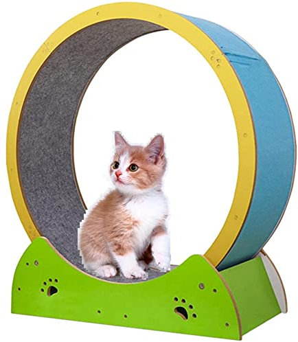 SSQUZA katzenlaufrad, Laufrad für Katzen, Laufband für Katzen, Klettergerüst für Katzen, Gerät zum Abnehmen für Katzen mit Teppichlaufbahn, für Katzen Aller Größen