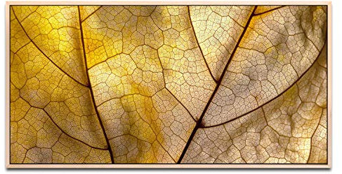 Herbstblatt ca. 130x70cm Wandbild inklusive Schattenfugenrahmen naturfarbend - Panorama Leinwand Bild XXL Format Wandbilder Wohnzimmer Wohnung Deko Kunstdrucke