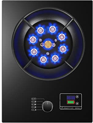 Fornello A Gas, 1 Fornello A Gas, Wok A 9 Camere Da 5,2 KW Con Funzione Timer, Fornello A Gas A Conversione NG/GPL, Vetro Temperato Nero, Fornello A Libera Installazione For Campeggio ( Size : LPG )