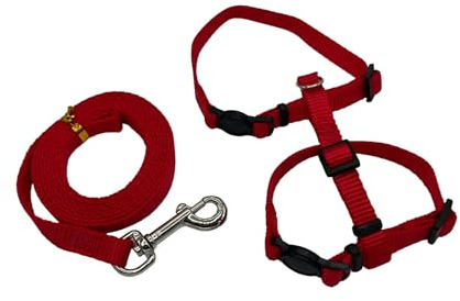 4 in 1 Katzengeschirr - Katzengeschirr für Tracker/Spaziergänge, Halsband mit/ohne Sicherheitsverschluss (Rot, S (2-4kg))