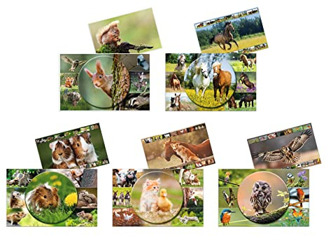 HERMA 19680 Schreibtischunterlagen Tierwelten Sortiment, 10 Stück, abwischbare Kinder Schreibunterlagen aus Karton, 55 x 35 cm, beidseitiges Motiv Tischunterlagen Set für Mädchen & Jungen