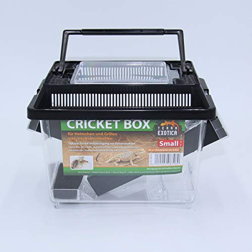 Terra Exotica Cricket Box - in Small oder Large - Transportbox für Reptilien - Fauna Box für Heimchen und Grillen zur Zucht (small 18 x 11 x 14 cm)