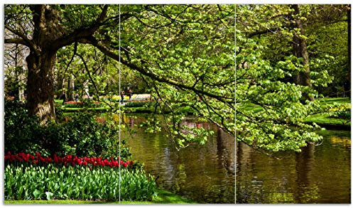 Wallario Herdabdeckplatte/Spritzschutz aus Glas, 3-teilig, 90x52cm mit 13mm hohen Füßen, für Ceran- und Induktionsherde, Bunte Blumen im Park am Wasser - Frühblüher am Ufer