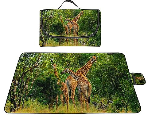 Picknickdecke 180x200cm,XXL Picknickdecke mit Wasserdichter Unterseite,Outdoor Stranddecke Sandfrei,mit Tragegriff Faltbare Picnic Blanket für Camping,Strand,Park,Familie,Konzerte Tropisches Gras