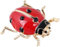 chenxiaonan Broche coccinelle rouge avec cristaux - Huile - Insecte - Émail - Mode animal - Strass - Pour chapeau et robe, Métal