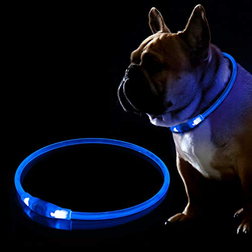 LED Hundehalsband, USB Wiederaufladbares Blinkhalsband für die Sicherheit bei Nacht, Verstellbares, Wasserdichtes, Hell Beleuchtetes Halsband für Hunde - Eine Grösse passt Allen, Blau