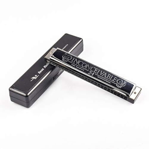 Swan 24 Löcher, professionelle Harfe, Performance, Wettbewerb, C-Schlüssel, Polyphonie, diatonische Mundharmonika, mit Hartschalenetui und Tuch, für Erwachsene, Kinder, Anfänger, Geschenk, Silber