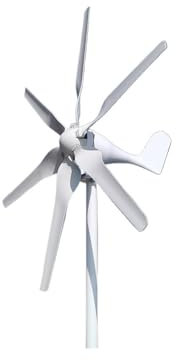 MEIVIYA 6 Rotorblätter 800 W New Energy Windturbinennerator 12 V 24 V Hocheffizient For Den Heim-Yacht-Bauernhof(24V)