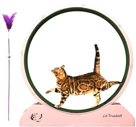 Katzenrad -Übende, Laufrad für Katzen,Kätzchen -Laufband für Fitness | Antifalling-Laufband Lauffitness-Trainingräder mit Teaser für Innenkatzen