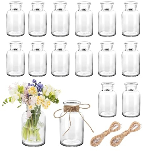 Small Bud Vase Set 16PCS Clear Flower Vases Mini Glass Vases with 20M Jute Twine for Floral Arrangements Wedding Centerpiece Home and Parties Table Decorations