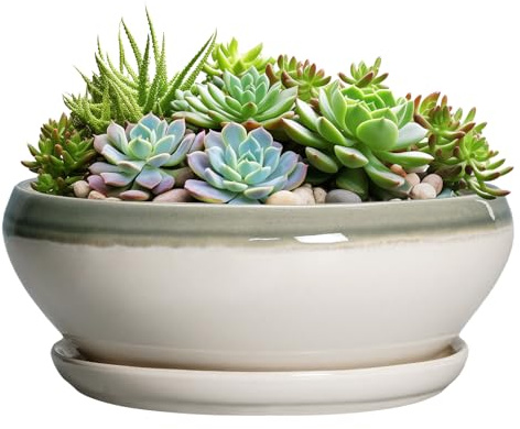 SQOWL Große Sukkulenten-Pflanzgefäße – 30,5 cm große Bonsai-Töpfe aus Keramik mit Ablaufloch und Untersetzer, Flacher runder Übertopf für Zimmerpflanzen, Schalen-Pflanzgefäß für den Außenbereich