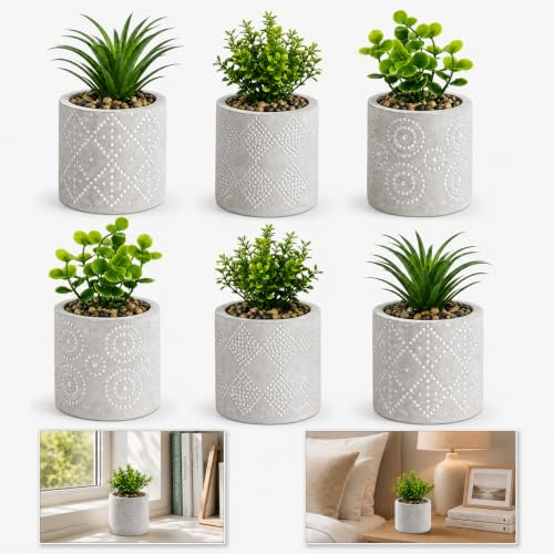 6x Mini Cement Potted Plants 14cm, Assorted Stonecrop, Jade or Aloe Vera Fake Succulent Planters, Grey Decorative Indoor Plants for Home, Office, Shelf & Table Décor