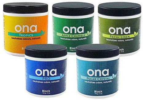 WeednessONA Block Pro 170g - Geruchsneutralisation Abluft Grow Indoor Tiere Küche Katze Hund Wohnung Auto Gel Rauch Schuhe Spray Katzenurin