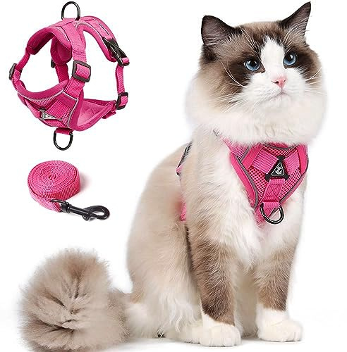 Cat Harness and Leash Set for Kitten, Upgraded Escape Proof Adjustable Vest with Lead for Small Cat Outdoor Walking, Soft Breathable Mesh Jacket with Reflective Stripes for Night… (S, Rose Pink)