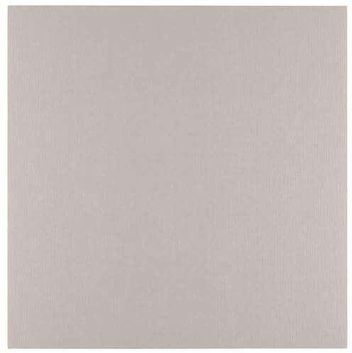 Florence Tonkarton 30,5 x 30,5 cm - 100 St. mit Leinen Struktur Rhino (Grau) 250 g - Scrapbooking Bedarf und Bastelpapier für Kartenbasteln, Scrapbooking und Journaling - Reißfest Buntpapier