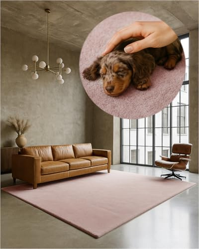 TEXMAXX Weicher Kurzflor Teppich Wohnzimmer mit rutschhemmender Rückseite (140 x 200 cm) - Modern für Flur, Esszimmer und als Schlafzimmer Teppich in Pastel-Rosa - Waschbar bis 30 Grad