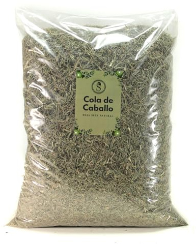 Cola de Caballo Seca a Granel – 100% Natural – Ideal para Infusión Diurética y Retención de Líquidos – Planta Medicinal Herbolaria – Sin Aditivos (100 g, Cola de Caballo)