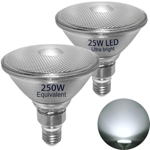 25W PAR38 LED Flood Light,250W PAR38 Halogen Bulb Equivalent,Daylight White,Full Glass Lamp Body,Waterproof,Bright White Light 5000K,Outdoor/Indoor,E26,120 Volts,Non-Dimmable,2-Pack,