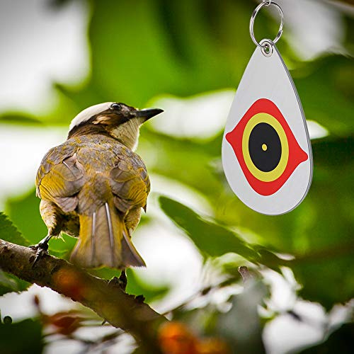 Pssopp Répulsif pour Oiseaux en PVC, Décoration Suspendue pour Verger, Balcon et Arbres Fruitiers, Matériau Polyvalent