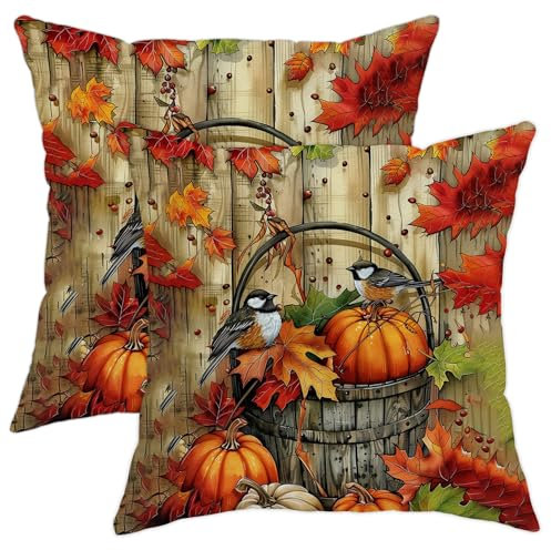 Herbst-Kissenbezüge, Motiv: Ernte, Kürbis, Vögel, Herbstdeko, für drinnen und draußen, dekorativ, rustikal, für Zuhause, Sofa, Bett, Couch, 40,6 x 40,6 cm, 2 Stück