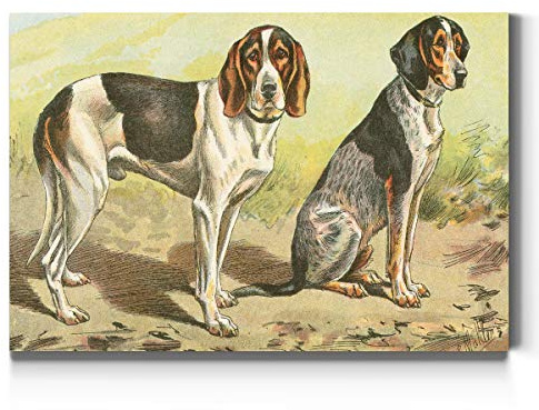 Renditions Gallery Coonhound Wall Art, Treeing Walker & Bluetick, Cute Dog Decor, Colorful Pet Artwork, Premium Gallery Wrapped Canvas Decor, Ready to Hang, 18 in H x 27 in W, Made in America