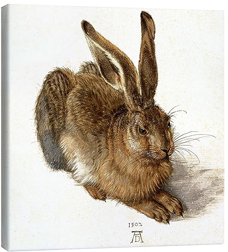 Posterlounge Liebre Lienzo de Albrecht Dürer 30 x 30 cm Marrón Cuadros Decoración para la pared