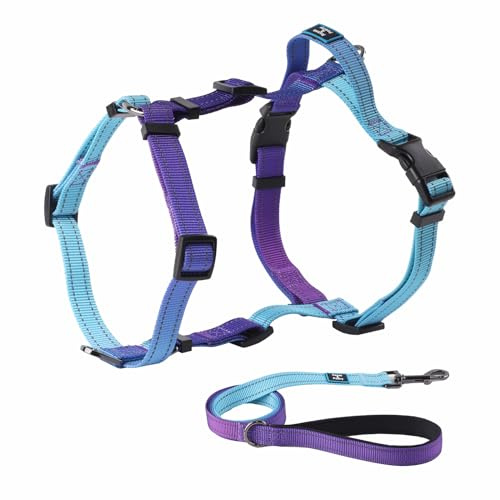 Roses&Poetry Small Dog Harness and Leash Set, No Pull Dog Harness Adjustable Reflective, Dog Halter Harnesses Comfort Padded Handle, Pet Harness for Training Outdoor Walking（Gsky-S