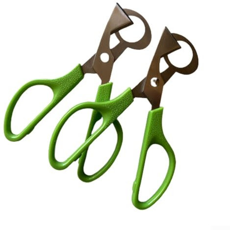 Paquete de 2 tijeras de acero inoxidable para cortar cáscaras de huevo, para uso doméstico