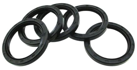 40 mm x 52 mm x 6 mm Double lèvres Joint de poussière d'huile 40x52x6 Joint d'arbre métrique Compatible avec diverses Applications industrielles