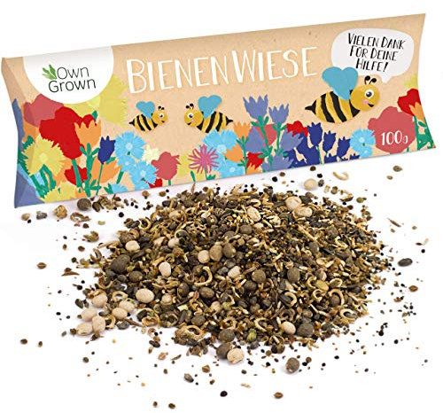 Bienenwiese Blumenmischung: 100g Premium Bienen Saatgut für bunte Bienenweide, Bienen und Hummelmagnet - bienenfreundliche Blumensamen Mischung ein- und mehrjährig - Blumenwiese Samen von OwnGrown