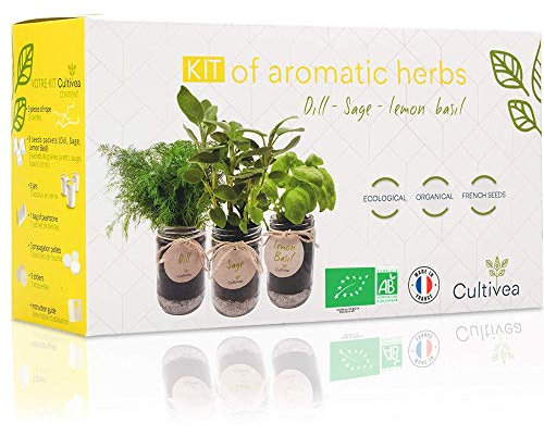 CULTIVEA® Set completo - Fai crescere le tue di erbe aromatiche - 100% semi ecologici e biologici - Semi con 3 vasetti di vetro – DIY - (salvia, aneto, basilico limone)