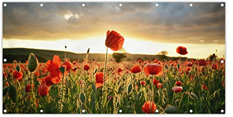 MuchoWow® Balkon Sichtschutz Sichtschutzmatte Balkonbanner Abdeckung für Terrasse Balkon Windschutz Blickdicht Wetterfest 200x110 cm Bunter Himmel über vielen Mohnblumen