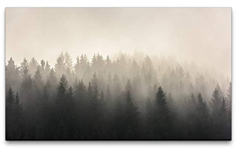 Paul Sinus Art Bilder XXL Wälder im Nebel 120x70cm Wandbild auf Leinwand