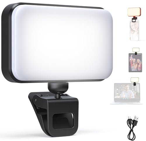 NEEWER Entry Level Version LED Selfie Light, Plastic Clip on Phone Fill Lighting for iPhone, 66 LEDs CRI92 Portable for Computer Laptop Webcam Zoom Video Conference Makeup Recording Streaming, N6