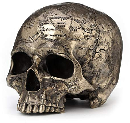 Veronese Design Statua di craniumografia con finitura in bronzo con vecchia mappa del tesoro su teschio