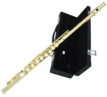 Zengxue Querflöte Anfänger Goldene 16 Löcher C Tone Flöte Mit E Key Wolorwind Instrument Geschlossene Loch Vergoldete Tasten Mit Fall