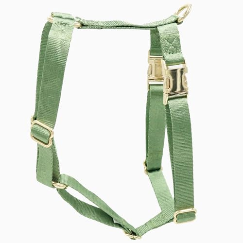 Nylon No Pull Dog Harness with Gold Metal Buckles,Easy Walking and Training Dog Harness (Sage Green, XS)
