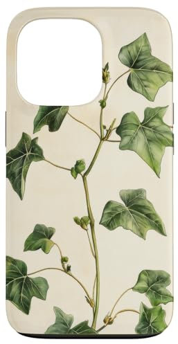 Lierre anglais Vintage Illustration scientifique Plante Coque pour iPhone 13 Pro