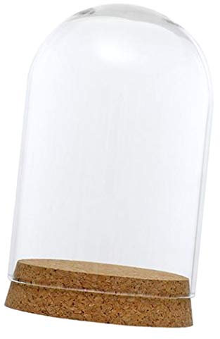 perfk Cupola di Vetro Vaso Decorativo Fai Campana di Vetro con Legno, 8x12cm