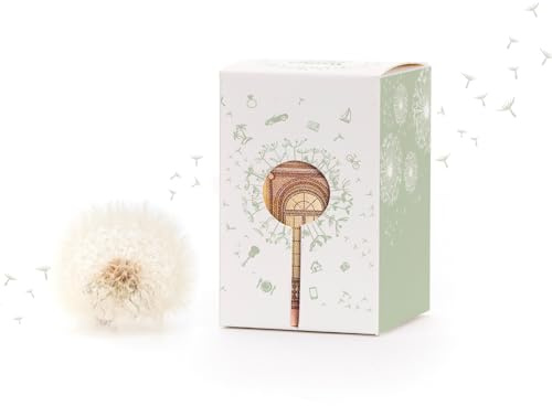 Wunscherfüller Geldgeschenk (Grün) von Die Stadtgärtner | Echte Pusteblume im Glas mit Geldschein-Sichtfenster | Kreative Verpackung zum Geld verschenken | Zum Geburtstag, Hochzeit, Schulabschluss